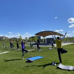 Mahogany Outdoor Yoga