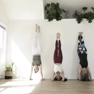 Muse Mind & Body Studio