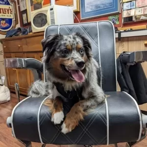 Oak Bay Barber Shoppe