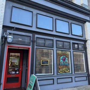 Painted Lotus Studios