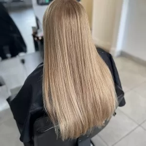 Salon 353