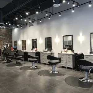 Salon Populus