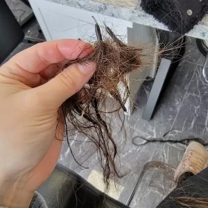 Salon Pure