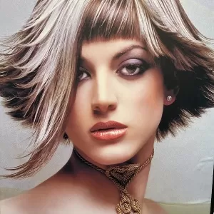 Seema's Elegant Hair & Skin Salon