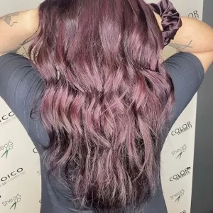 Shear Magic Boutique/ Shears Salon