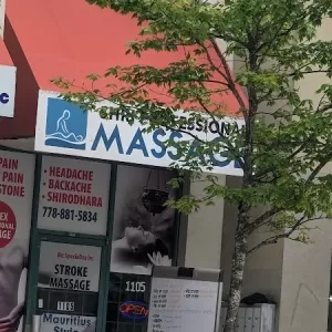 Shri Professional Massage