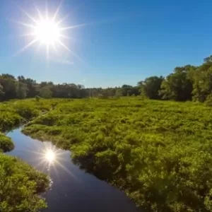 Strength in 2 Fitness