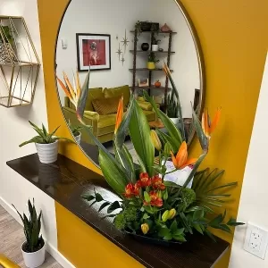 Studio Gold