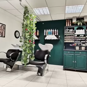 The Hair Chair
