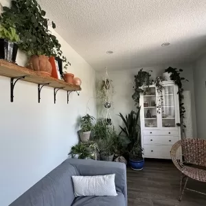 The Natural Health Collective