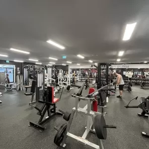 Truth Gym Gallery