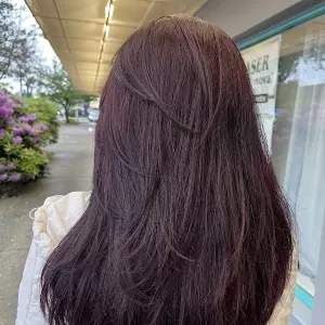 VCut Beauty Bar