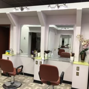 Vision Hair