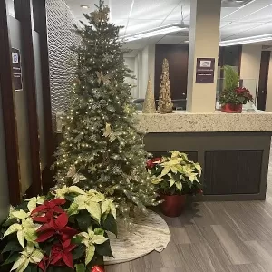 Vitality Spa & Massage