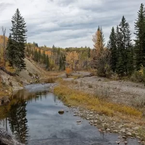 Votier's Flats - Fish Creek Provincial Park