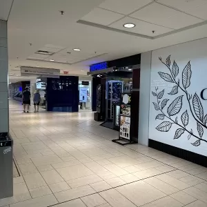 Waxy Boutique (Chinook Mall Professional)