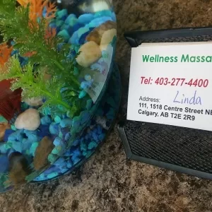 Wellness Massage Centre