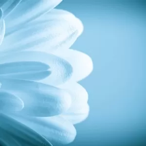 Willow Medical Aesthetics - Campbell River