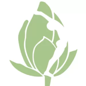 Yoga Santosha Kensington