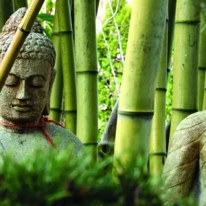 Yoga Santosha Mission